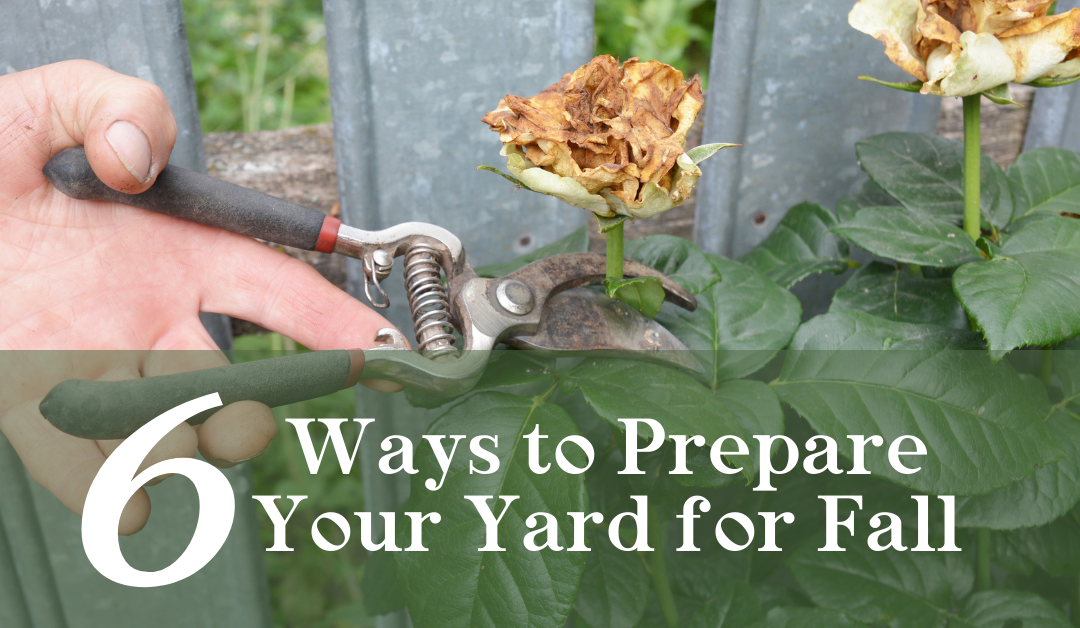 6 Ways to Prepare Your Yard for Fall